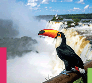 GOB – IGUAZU TURISMO ENTE MUNICIPAL